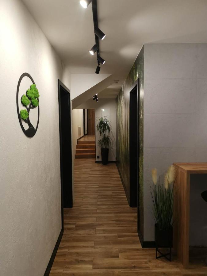 Apartament Skorusinka W Poblizu Chocholowskich Term Witów Extérieur photo