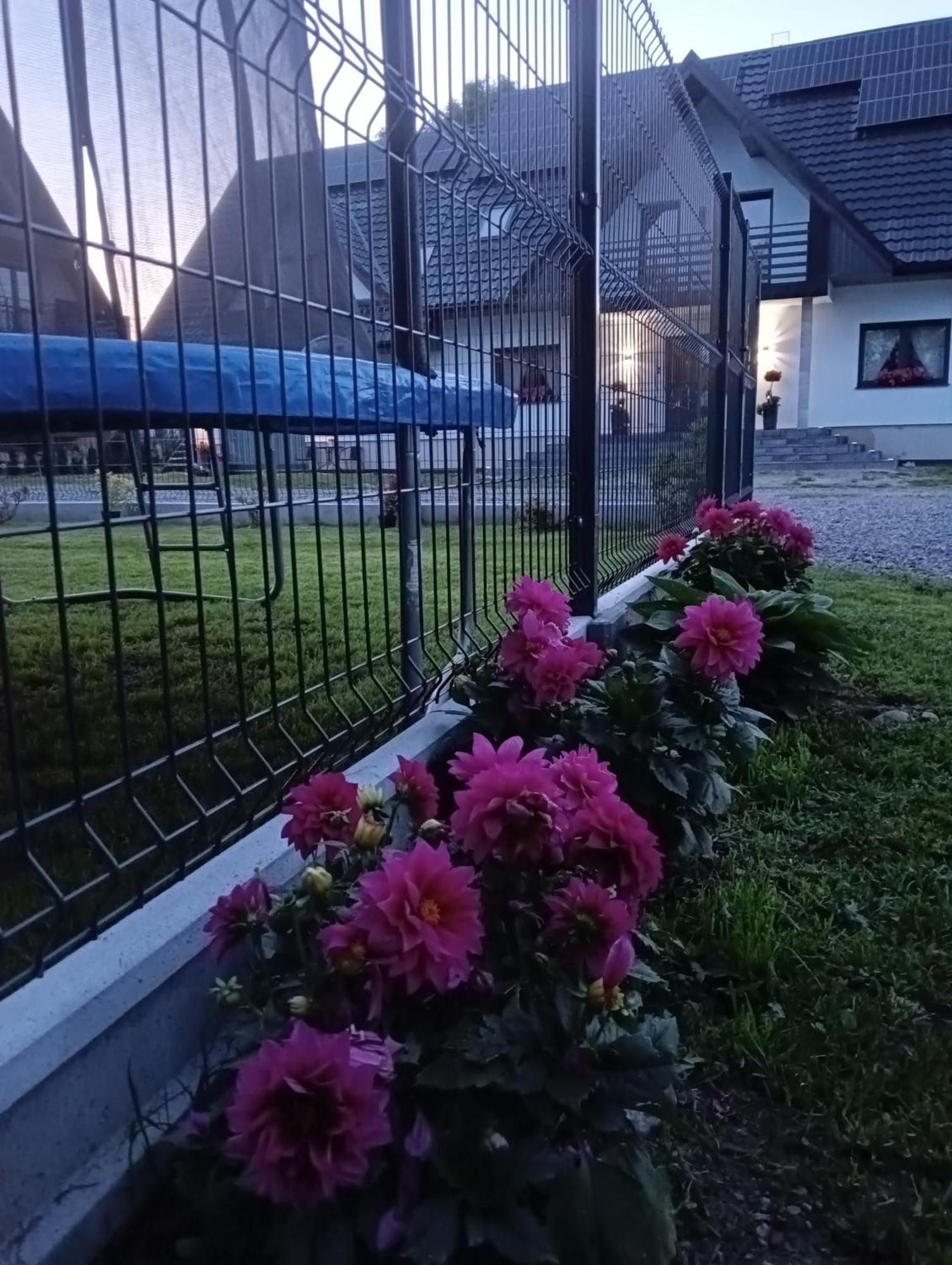 Apartament Skorusinka W Poblizu Chocholowskich Term Witów Extérieur photo